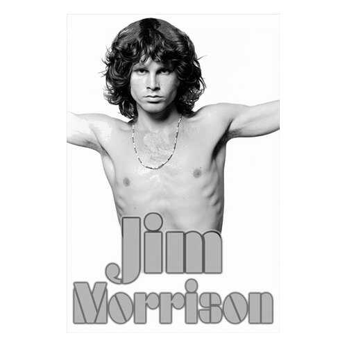 Постер СТ-Диалог Jim Morrison, МУЗ-314, лам.бумага, 60х90 см в Швейный мир